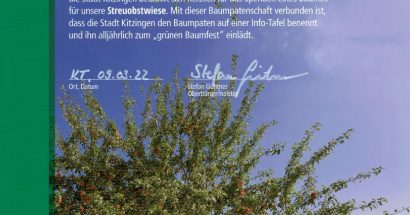 Baumspende an Stadt Kitzingen