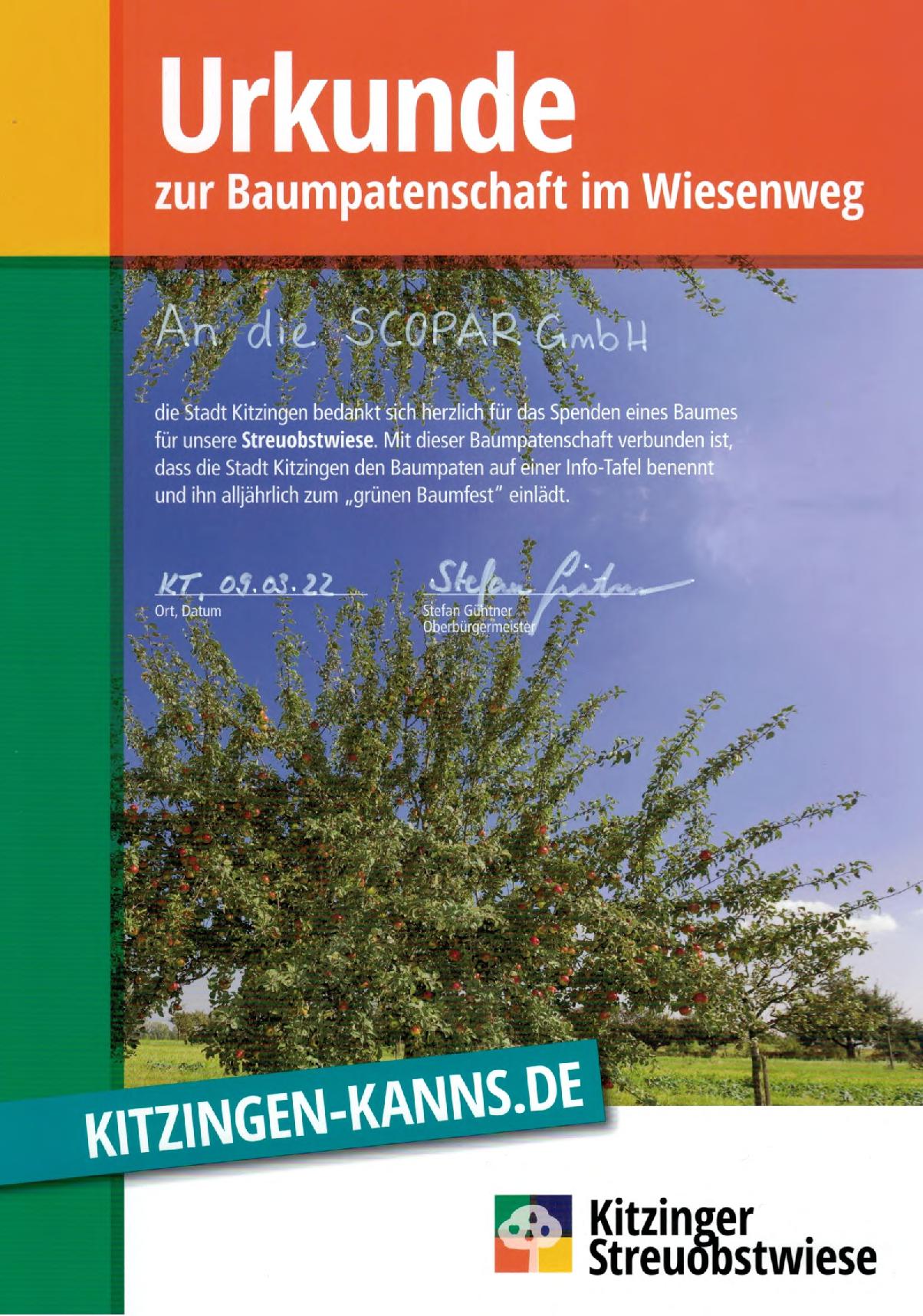 Baumspende an Stadt Kitzingen