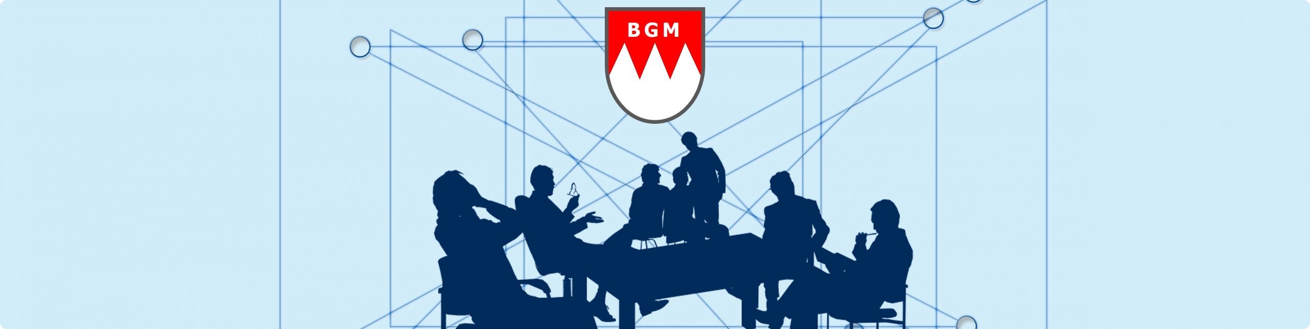 BGM-Netzwerk Mainfranken (Umfrage)